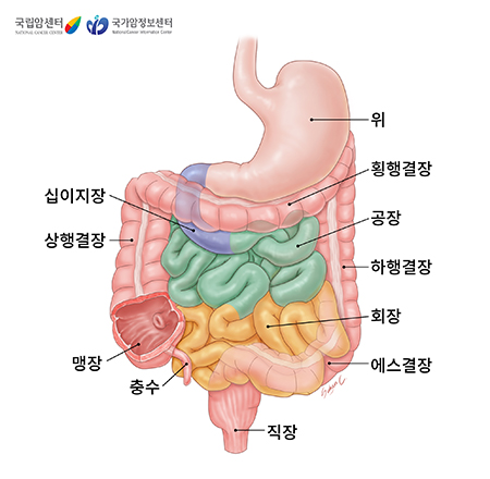 소장의 위치와 구조