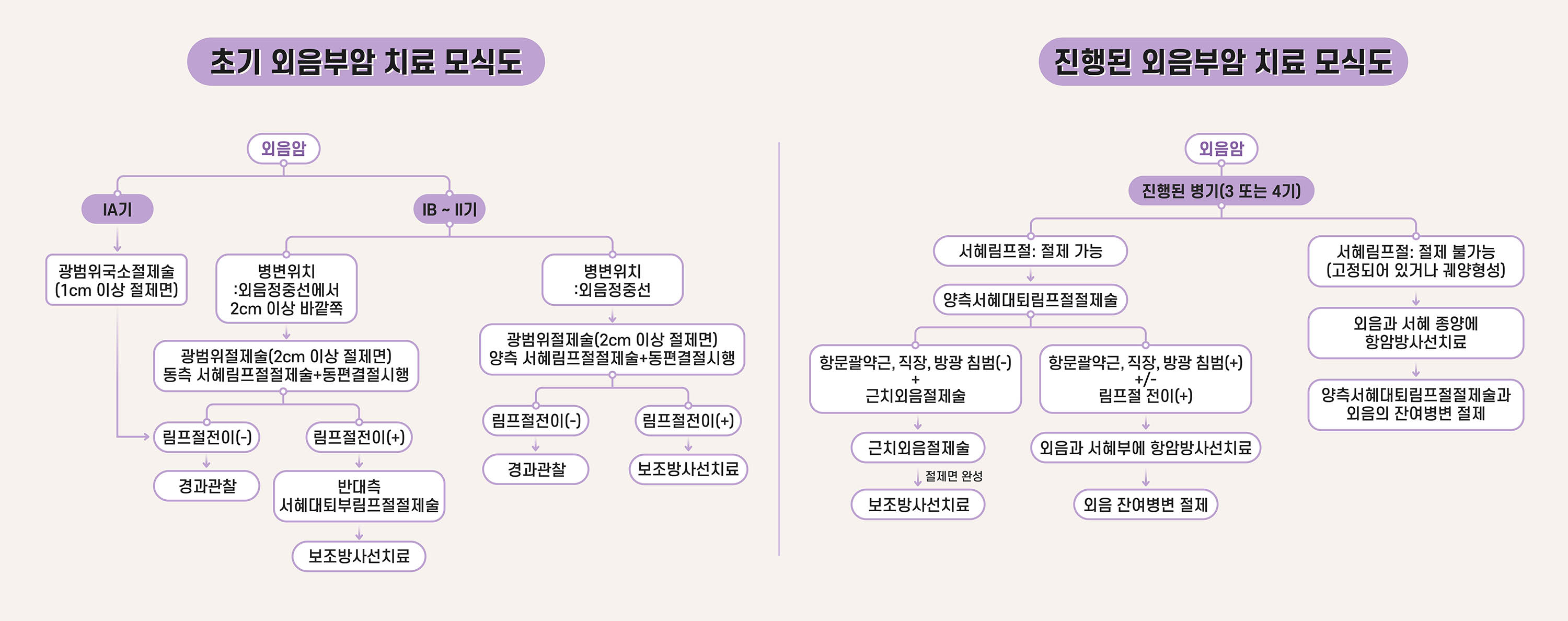 외음부암 치료모식도
