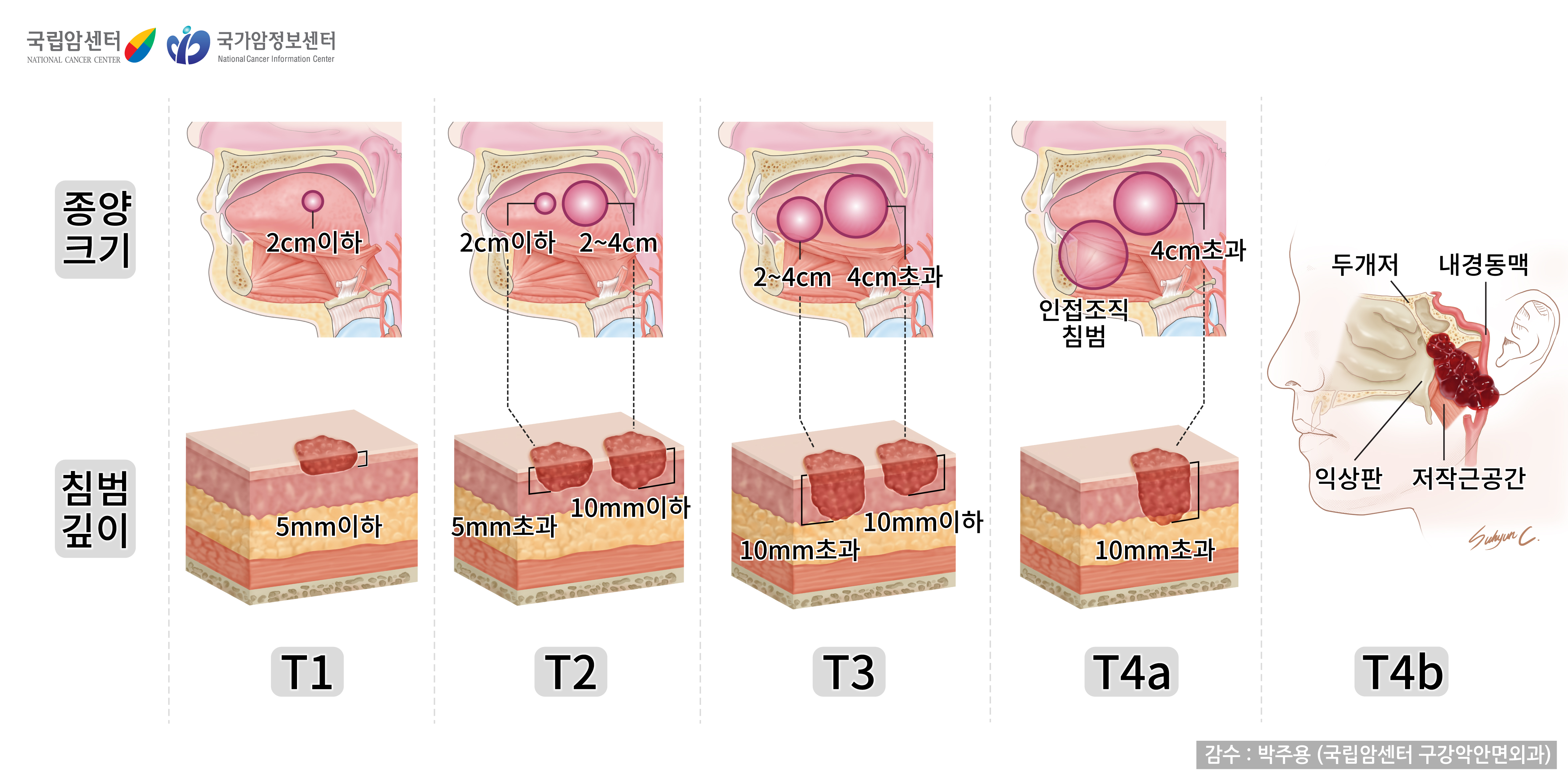 파노라마 사진